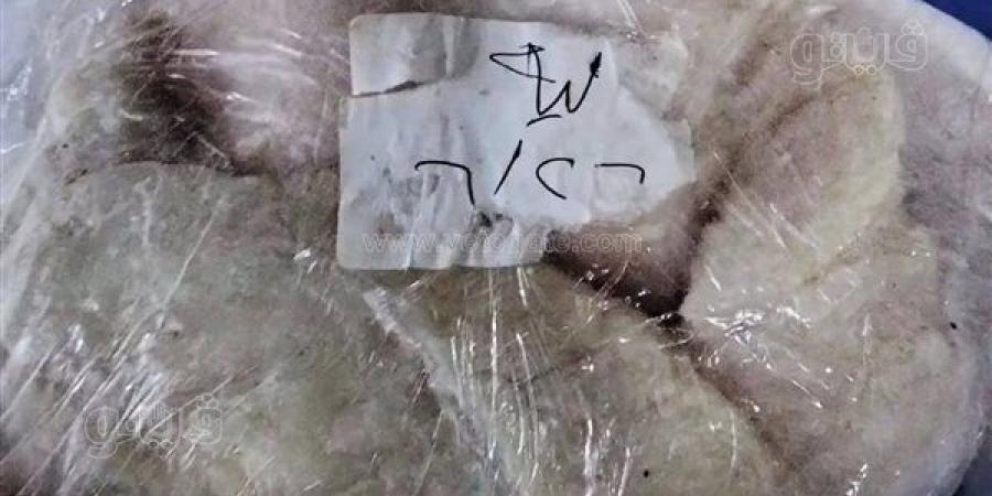 مطعم شهير بأسوان يقدم وجبات لحوم بالحشرات (صور)
