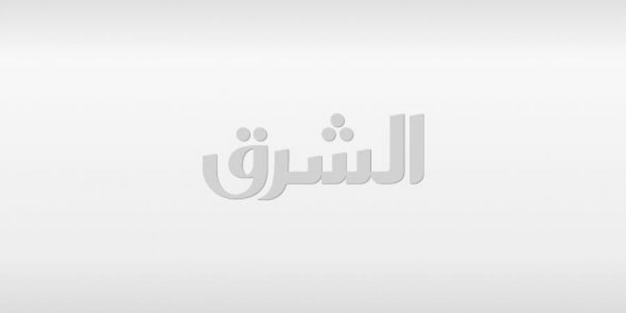 الوطني للتخطيط والنادي العلمي ينظمان المخيم الصيفي للبيانات