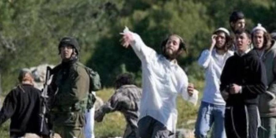 إصابة 6 فلسطينيين خلال هجوم لمستوطنين جنوب الخليل