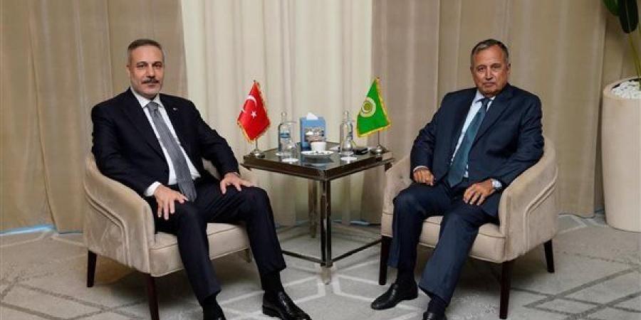 تفاصيل لقاء نبيل فهمي مع وزير الخارجية التركي