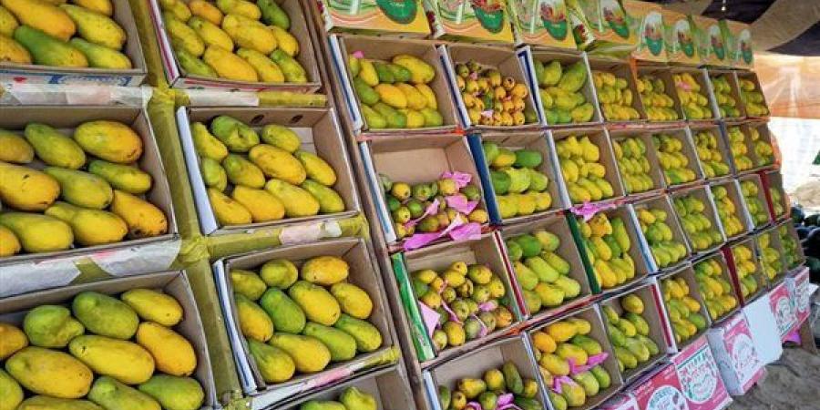 أسعار المانجو اليوم، ارتفاع 8 أصناف منها العويس والفص وانخفاض السكري 10 جنيهات