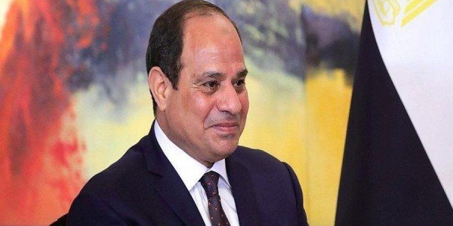 أزمات الشرق الأوسط وروسيا وأوكرانيا تتصدران مباحثات الرئيسين السيسي وزيلينسكي