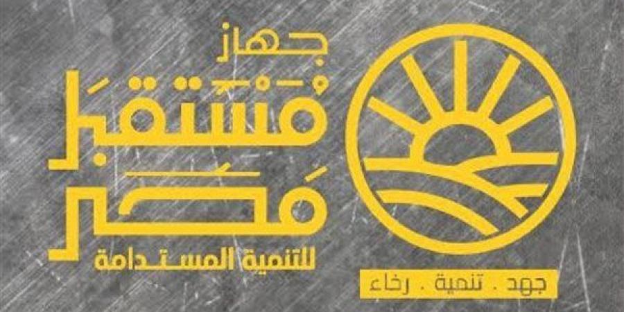 بعد تشكيل مجلس الإدارة، تعرف على أهداف جهاز مستقبل مصر للتنمية