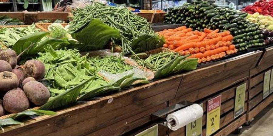 سعر الخضار اليوم، انخفاض 5 جنيهات في الليمون البلدي وارتفاع البطاطس والبصل