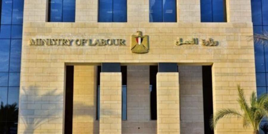 التخصصات والشروط، الحكومة تعلن عن 1355 فرصة عمل جديدة بـ 7 محافظات