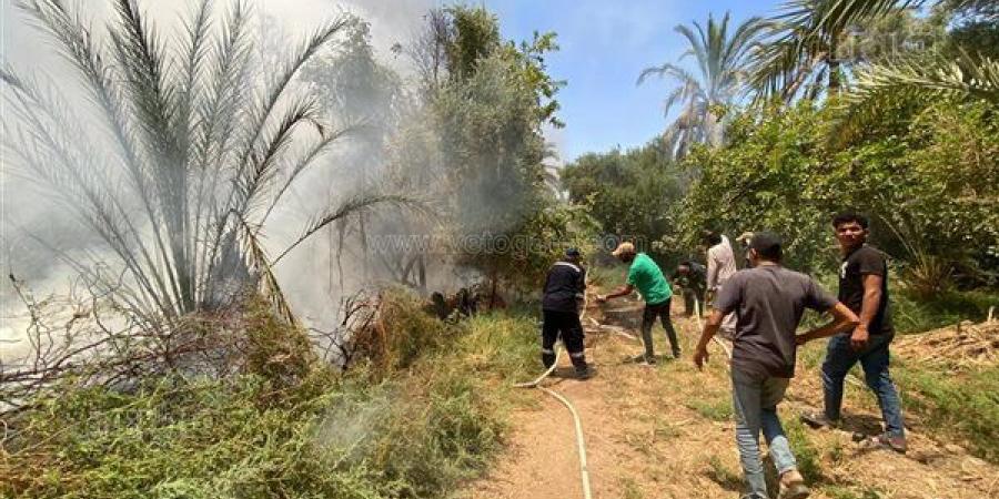 حريق داخل منطقة زراعية في الفرافرة بالوادي الجديد