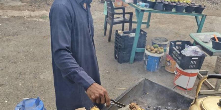أمطار وضباب ألمع تجذب الزوار