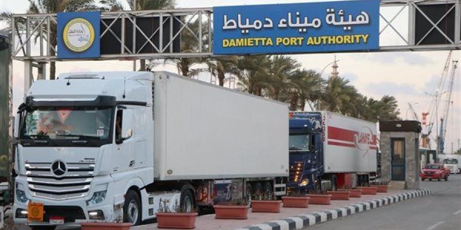 ​«الرورو» يربط أوروبا بالخليج، طفرة جديدة في حركة الترانزيت بميناء دمياط
