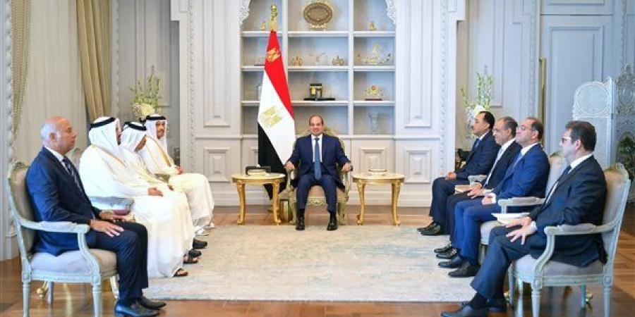 تفاصيل مباحثات السيسي ورئيس وزراء قطر (فيديو)