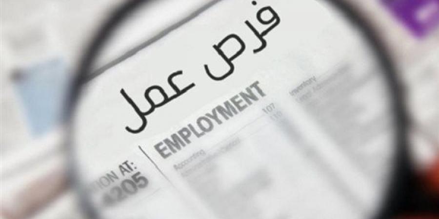 وظائف مديرية الصحة بالجيزة 2026، فتح باب التقديم لمراجعين ماليين وإداريين