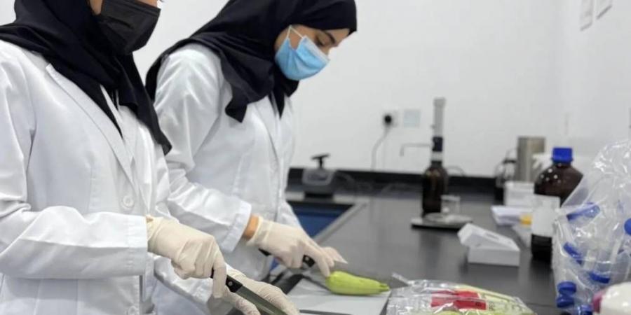 أنظمة التتبع تلاحق المنتجات الغذائية الخطرة